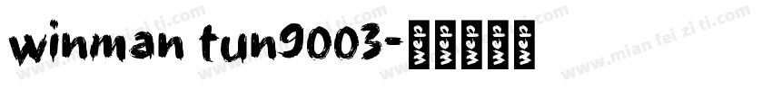 winman tun9003字体转换